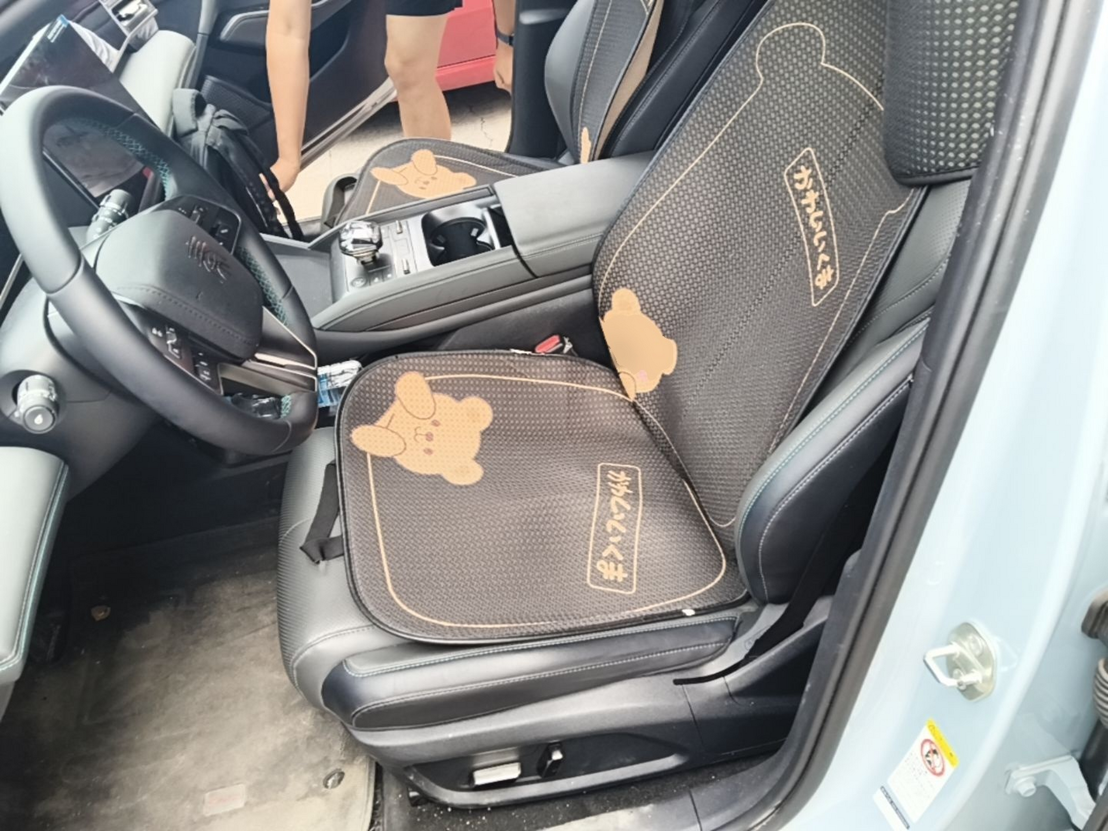 Interior delantero