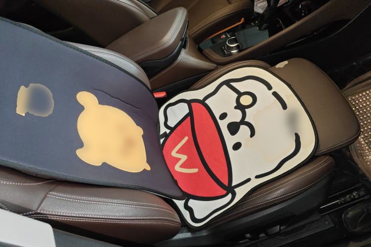 Used BMW X1 New Energy 2019 xDrive25Le Mileage Upgrade Version Right Front Seat