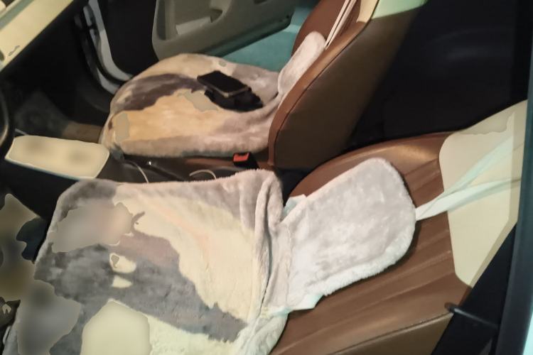 Used Qiyuan Lumin 2023 205km Xiangqin Version