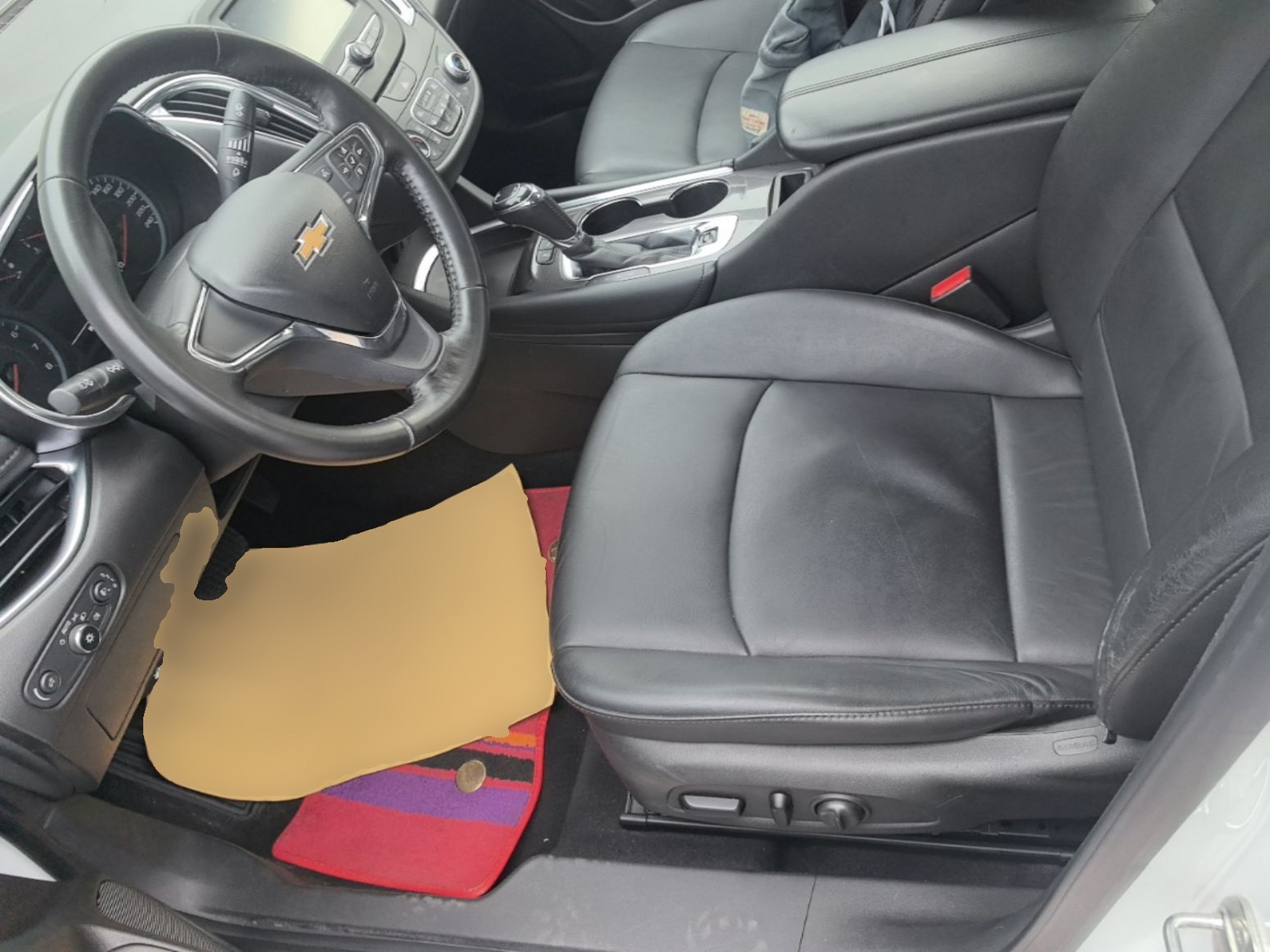Interior delantero