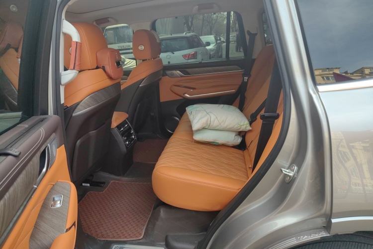 Used Tank 500 New Energy 2025 Hi4-Z
