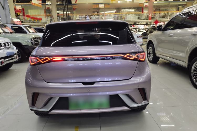 Used BYD Dolphin 2021 405 km Fashion Edition Rear