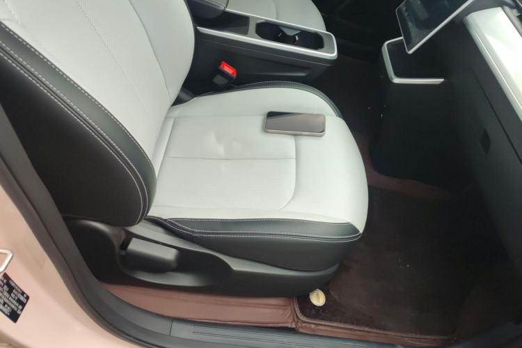 Used NETA AYA 2023 318 Lite Right Front Seat