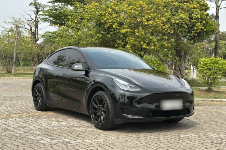 Used Tesla Model Y 2024 Rear-Wheel-Drive Version Exterior 8