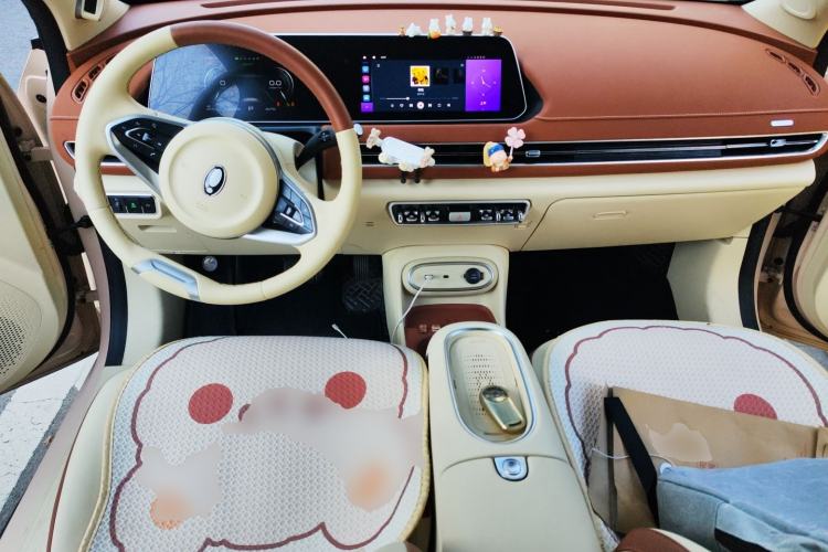 Used ORA Good Cat 2023 401 km Standard Range Prestige Version Lithium Iron Phosphate Center Console