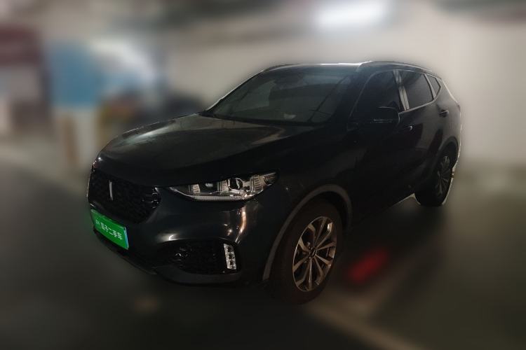 Used Wey VV6 2019 2.0T Two-Wheel-Drive Flagship Version China VI Standard