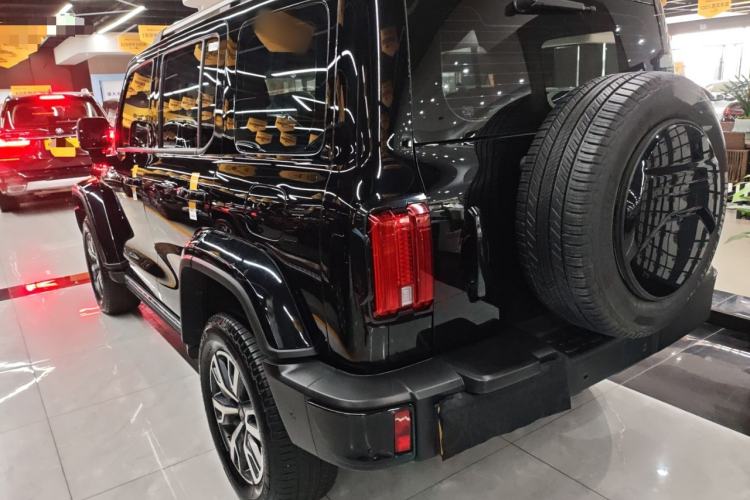 Used Tank 300 2024 2.0T Crosser
