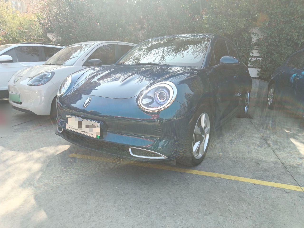 تحت مقدمة السيارة