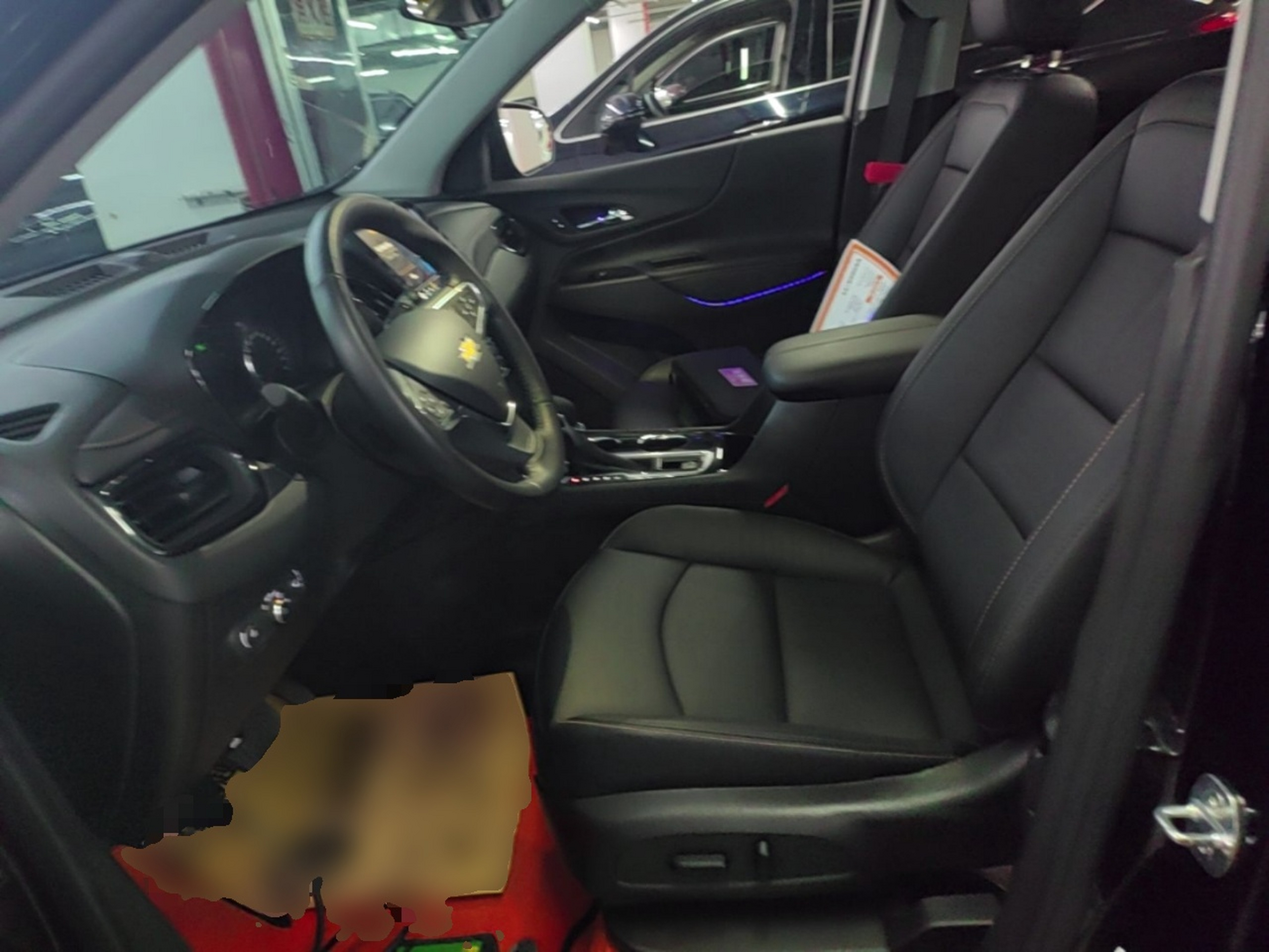 Interior delantero