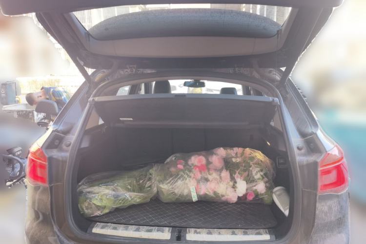 Used BMW X1 2018 sDrive20Li Leading Model
