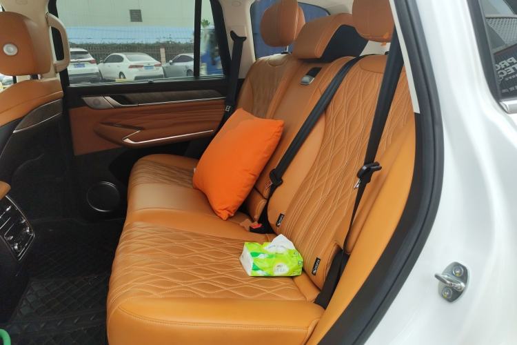 Used Tank 500 2022 3.0T Sport Edition "Creation" Version 5-Seater Left Rear Seat