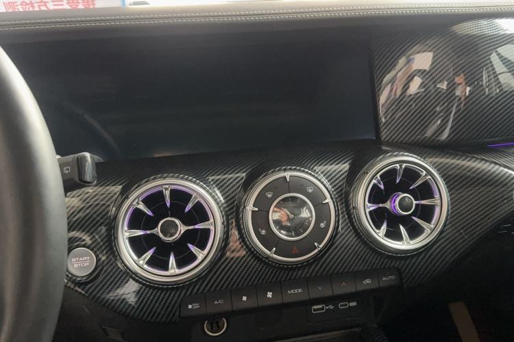 Used Tank 300 2024 2.0T Conqueror
