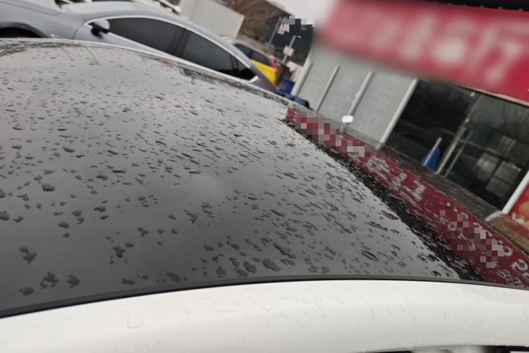 Used Rising ER6 2021 New Dynamic Edition 620km Smart Drive Version
