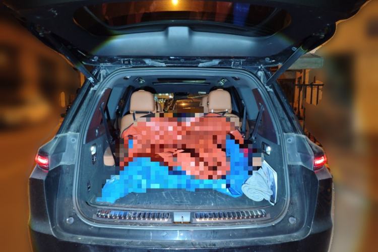 Used Li Auto L9 2022 Max model
