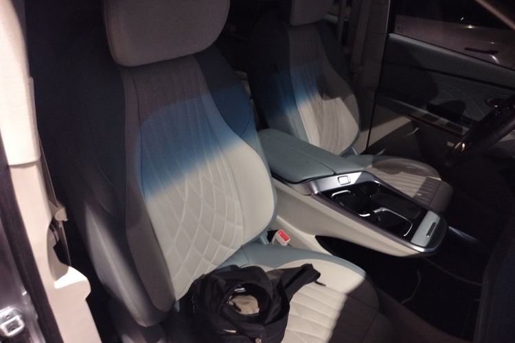 Used SAIC MAXUS Dajia 9 2022 Long-Range High-Mountain Six-Seater Version Right Front Seat