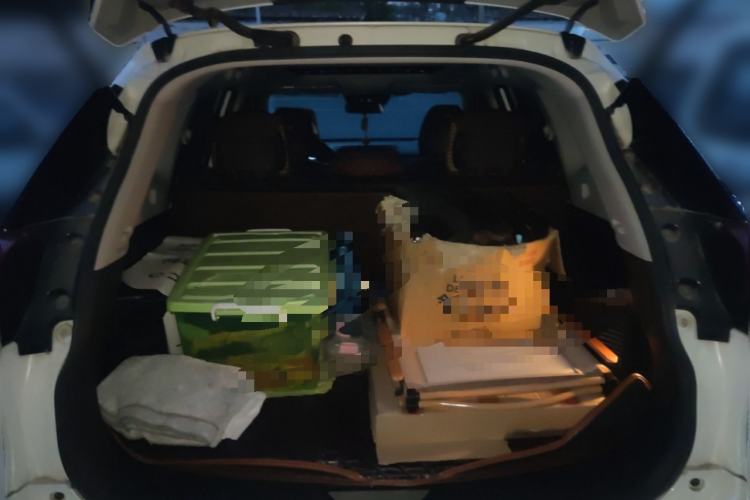 Used Nissan X-Trail 2020 2.0L XL Premium CVT 2WD SmartConnect Luxury Edition Trunk