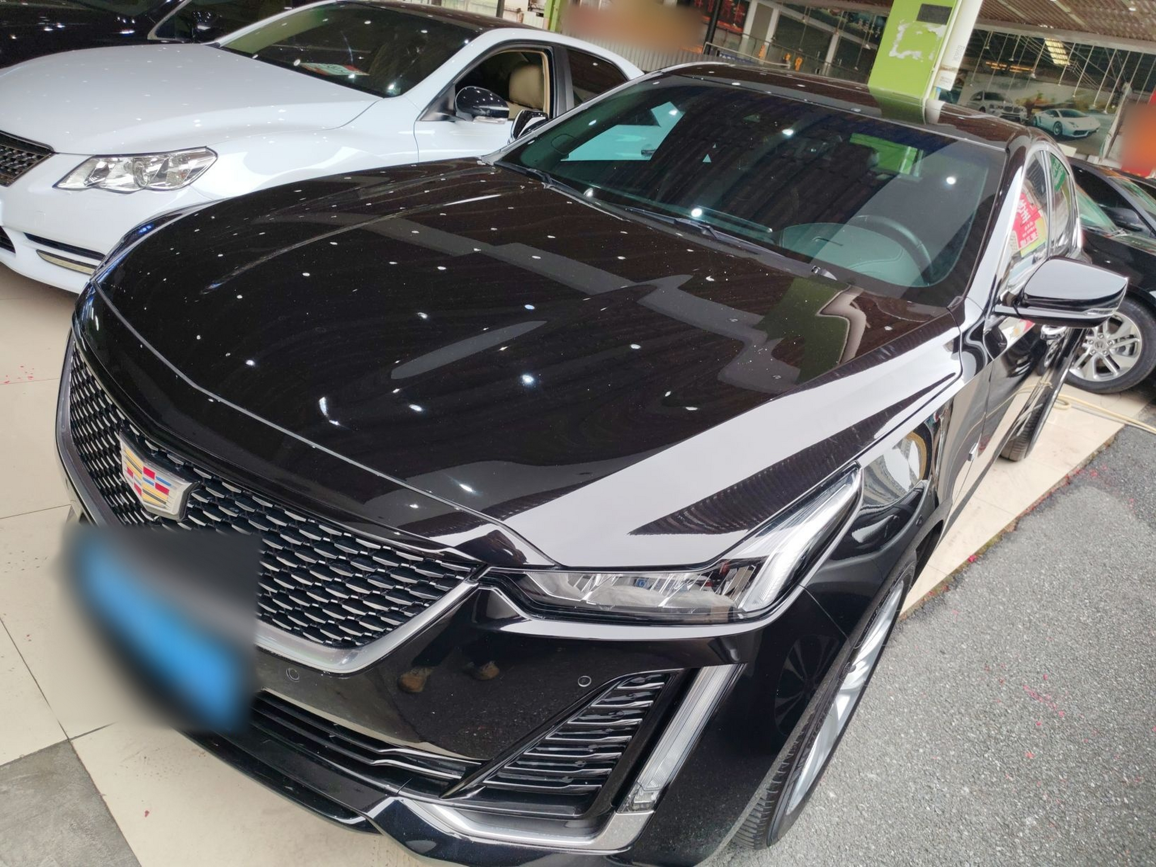 تحت مقدمة السيارة