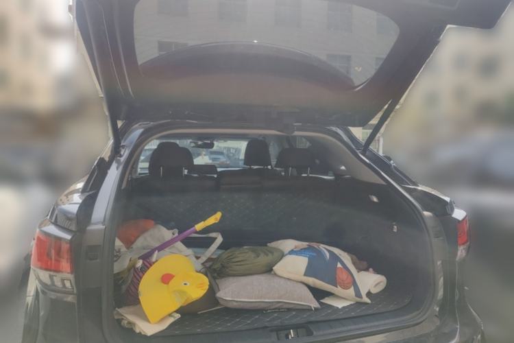 Used Lexus RX 2020 300 Two-Wheel Drive Elite Edition China VI Standard
