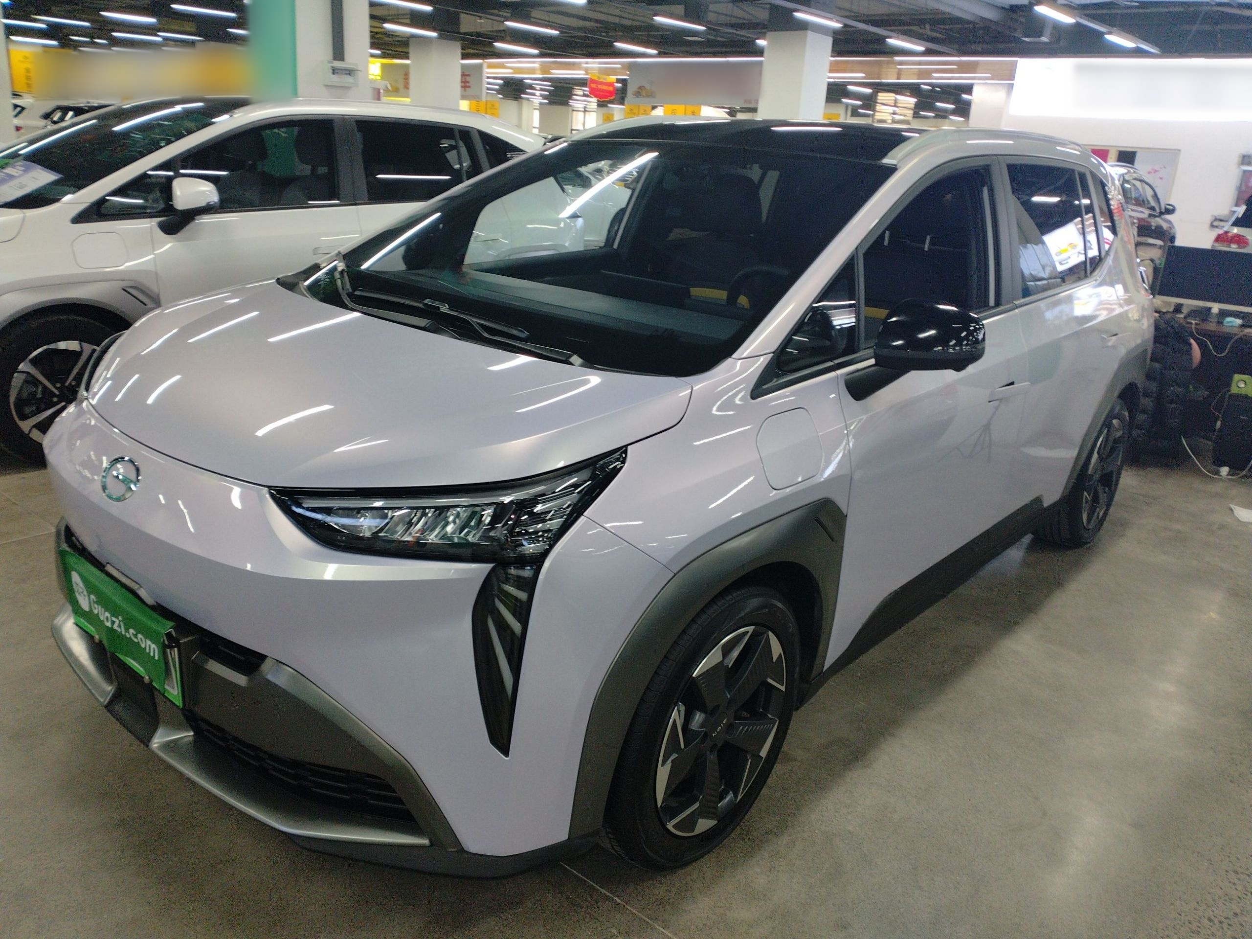 Parte inferior delantera