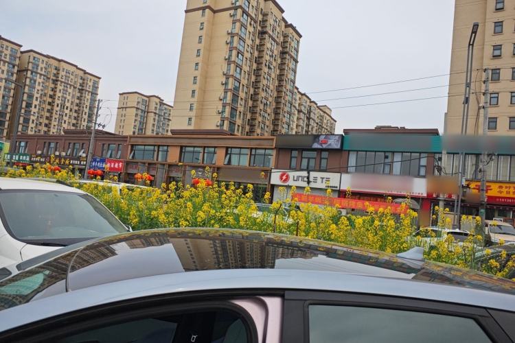 Used BYD Dolphin 2021 405 km Fashion Edition