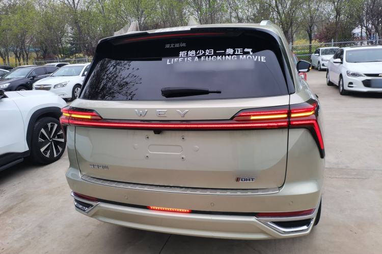 Used Wey Lanshan 2023 Four-Wheel Drive Ultra-Long Range Version Rear