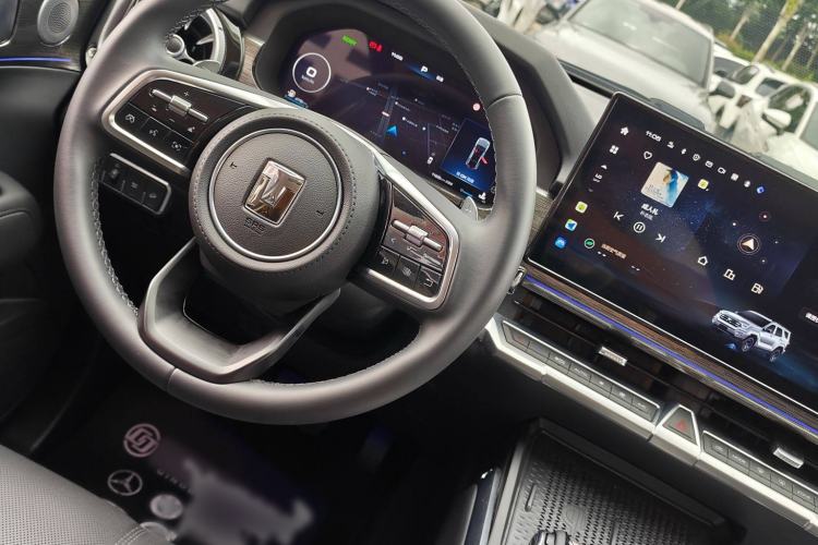 Used Tank 400 2025 2.0T Gasoline Version