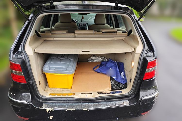 Used Mercedes-Benz B-Class 2009 B 200 Luxury Model