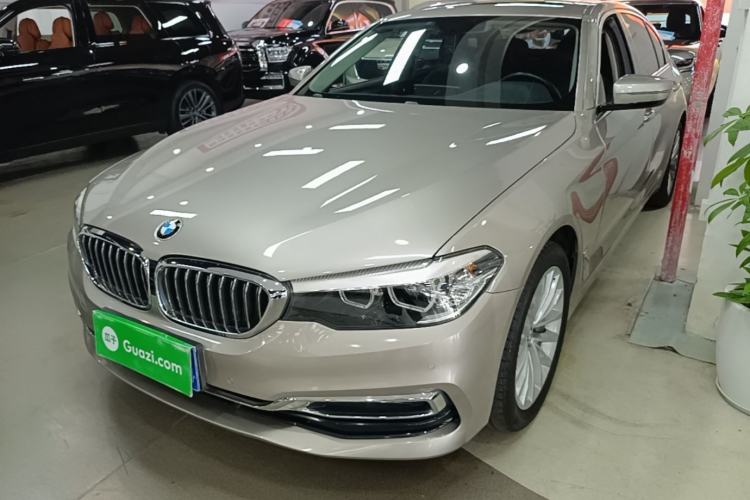 Used BMW 5 Series 2019 530Li Leading Model Luxury Package