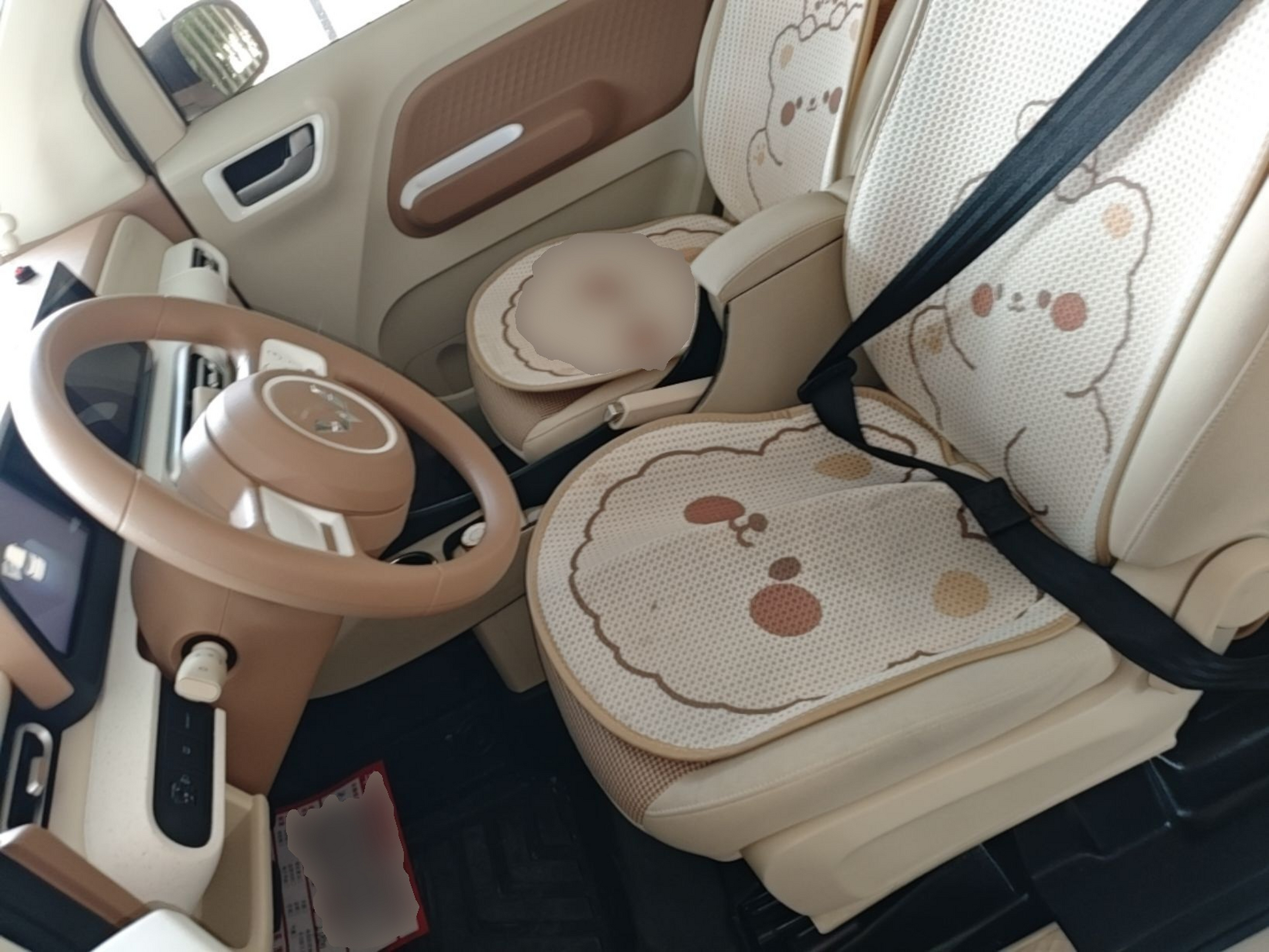 Interior delantero