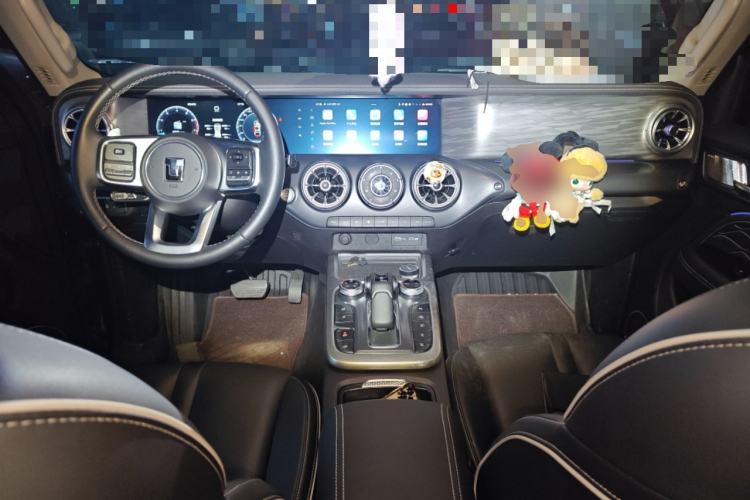 Used Tank 300 2024 2.0T Conqueror