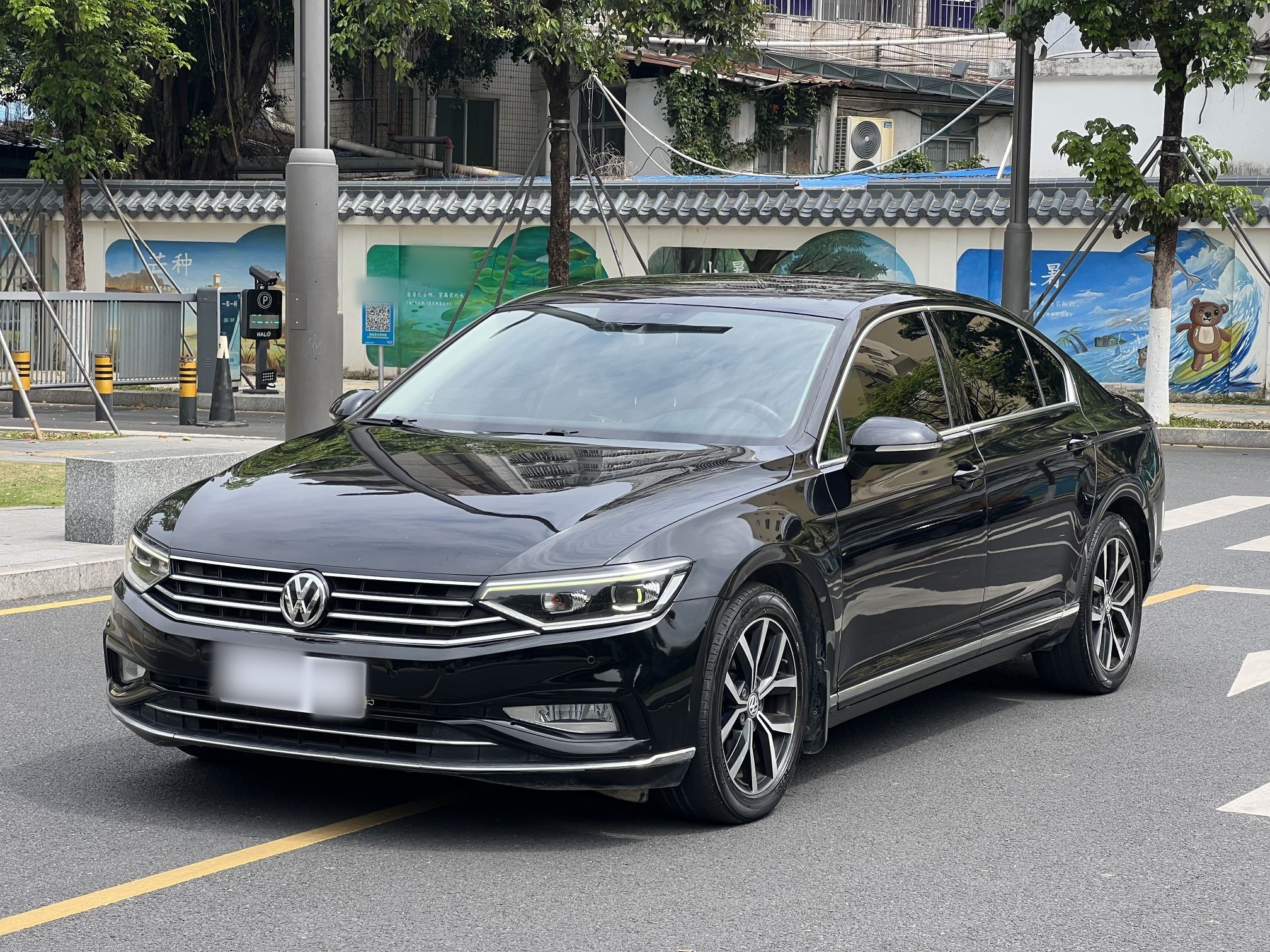 Parte inferior delantera