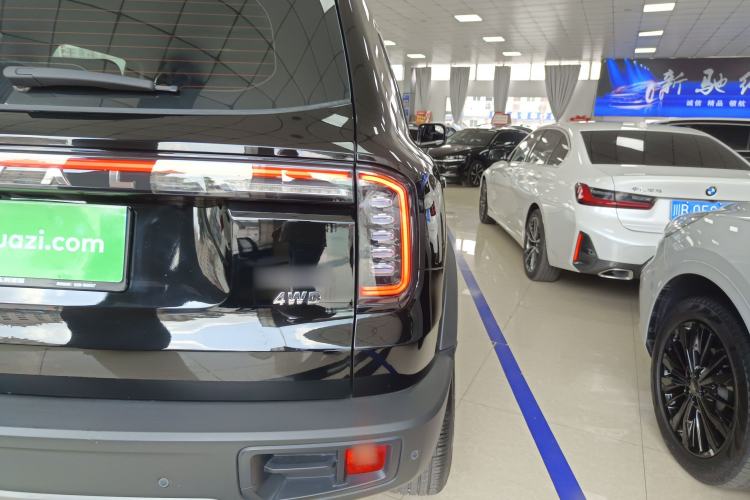Used Haval DARGO 2024 2.0T DCT Chinese Rural Dog Edition

