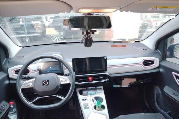 Used SOL E10X 2022 Flower Fairy Style Baby's Breath