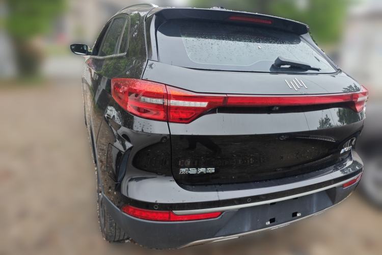 Used WM Motor EX5 2019 EX5 Mate Weymeng Edition 400 Rear Left 45 Deg