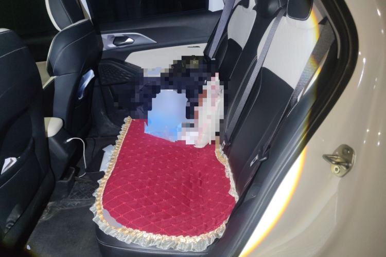 Used Geometry E Firefly 2024 301km Starlight