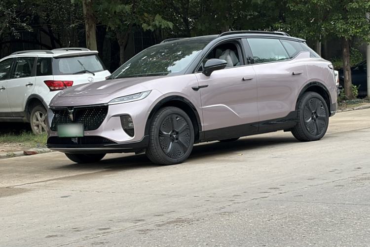 Used VOYAH COURAGE 2024 Four-Wheel Drive Global Edition