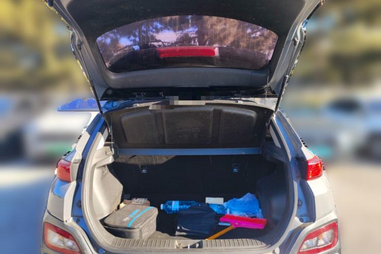 Used Hyundai ENCINO Electric 2020 TOP Enjoyment Edition