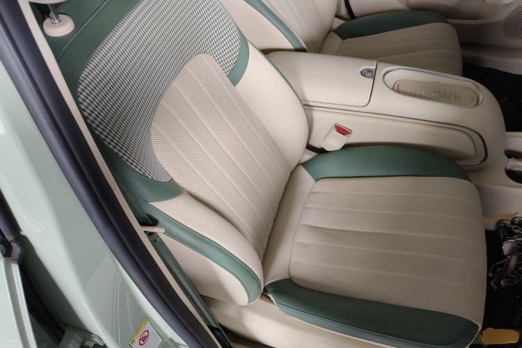 Used ORA Good Cat 2023 401 km Standard Range Premium Version Lithium Iron Phosphate Right Front Seat