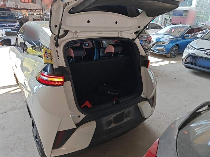Used BYD Seagull 2025 Intelligent Driving Version 305 km Dynamic Edition — 18