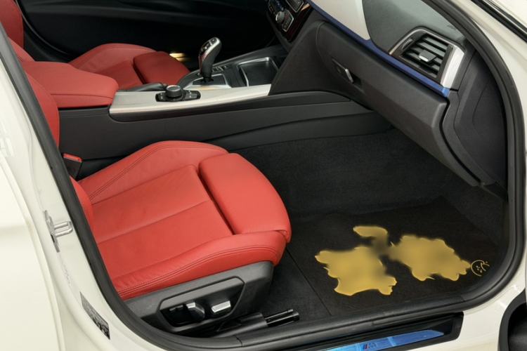 Used BMW 3 Series 2019 320i M Sport Package
