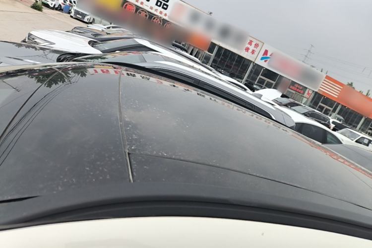 Used Ford Escape 2020 EcoBoost 245 Four-Wheel Drive ST-LINE Deluxe Edition Roof