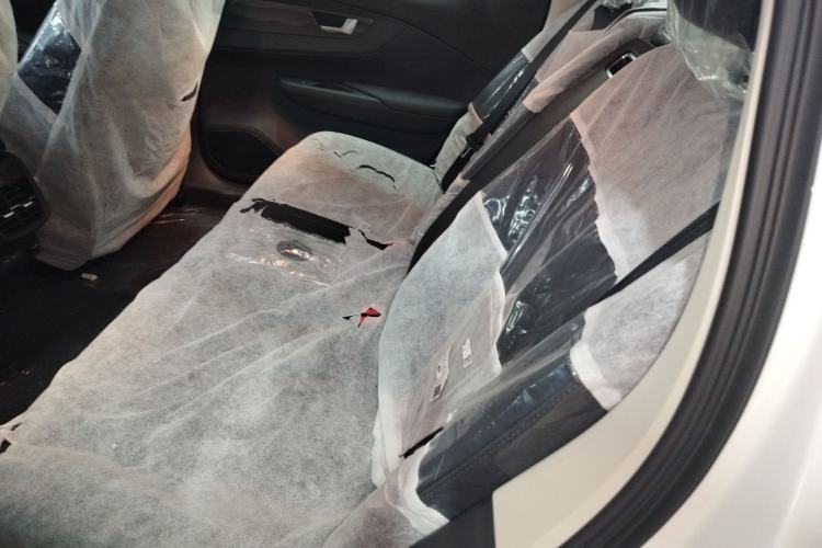 Used Hongqi E-QM5 2023 Revised Version Basic Travel Edition Left Rear Seat