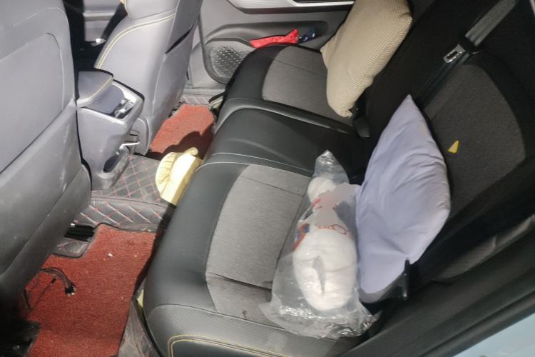 Used Baojun Valli 2021 1.5T Yili Pasture CVT Luxury Model Left Rear Seat