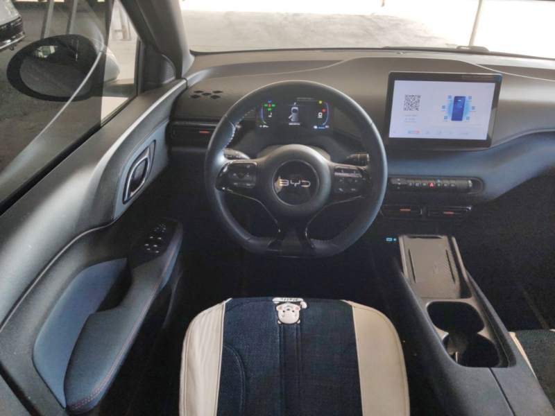 Used BYD Seagull 2025 305 km Free Version — 10