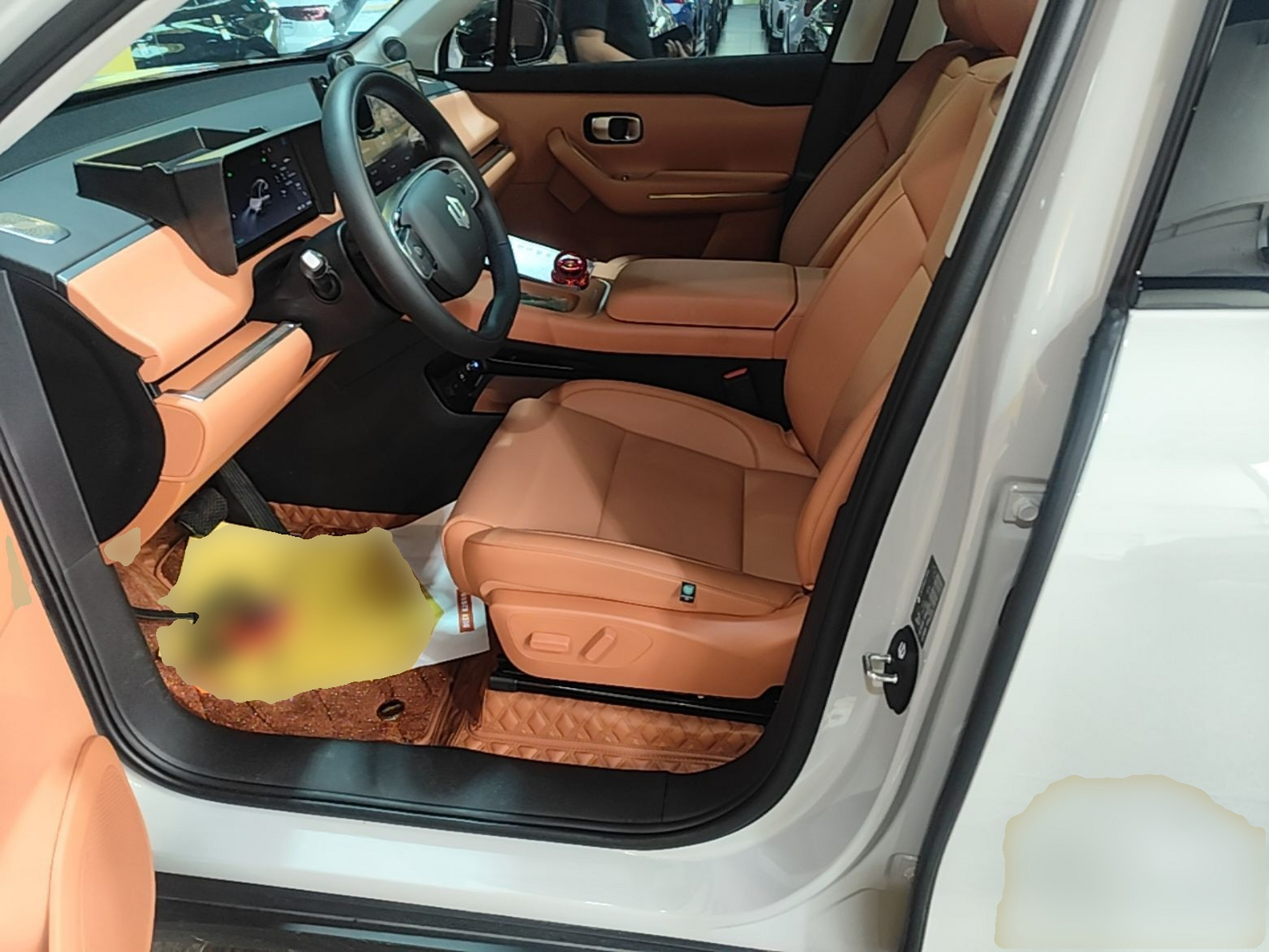 Interior delantero