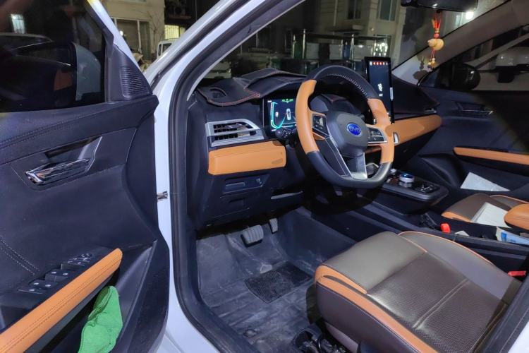 Used BYD e2 2021 Luxury Model Driver Seat