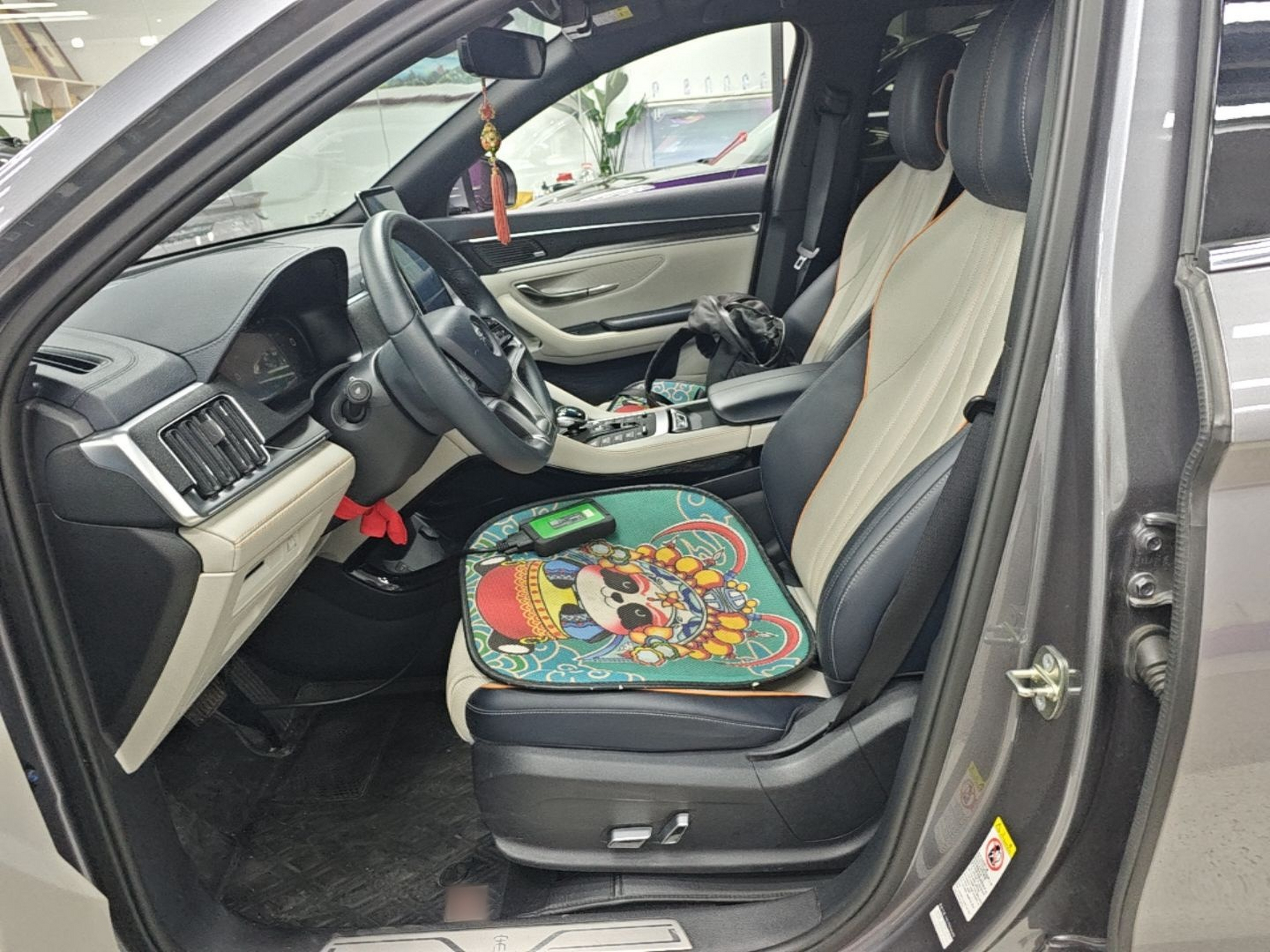 Interior delantero