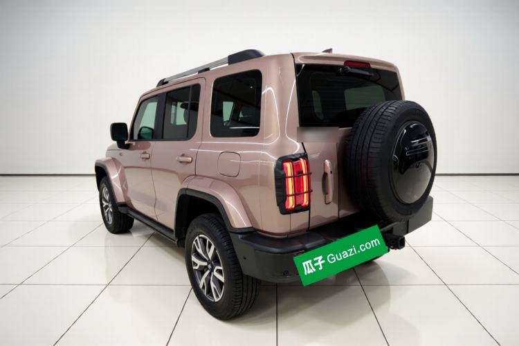 Used Tank 300 2023 City Edition 2.0T—Stylish as Ever