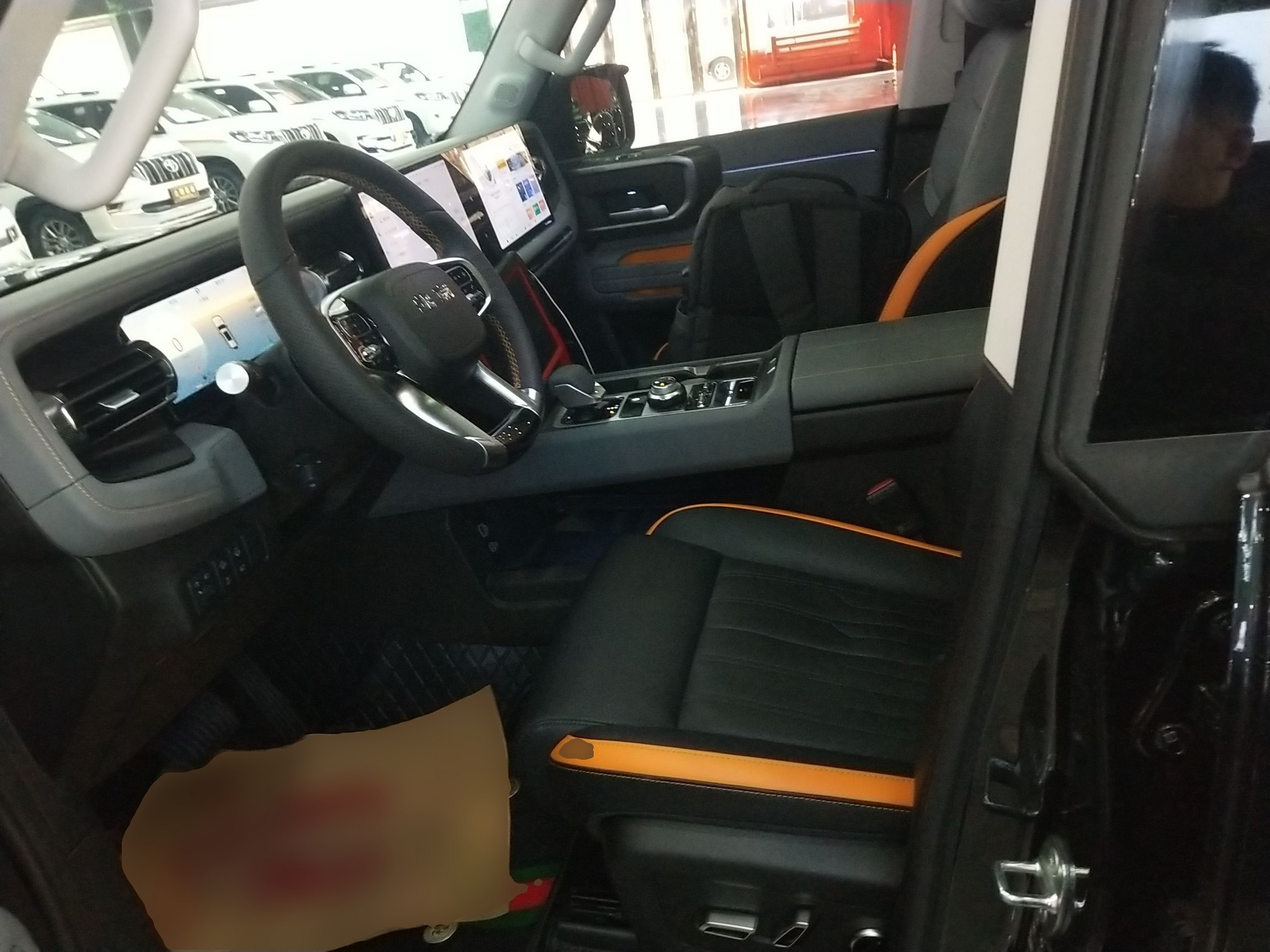 Interior delantero