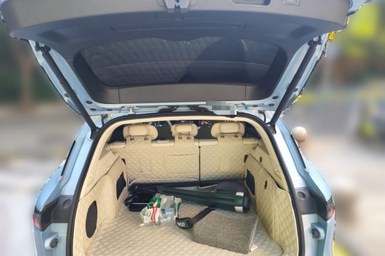 Used VOYAH FREE 2021 Two-Wheel Drive Standard Pure Electric City Edition
